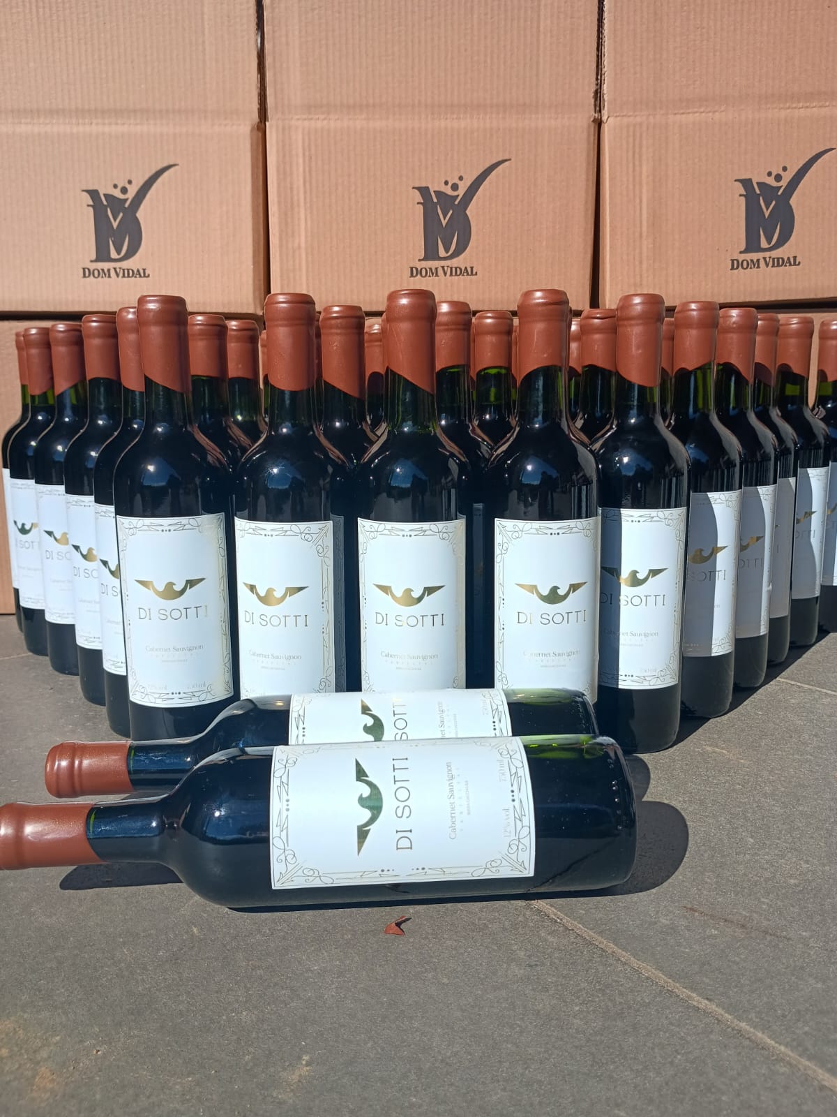 Cabernet Sauvignon
